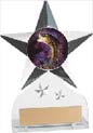 Krystal Clear Acrylic Star Ice Award w/ Insert