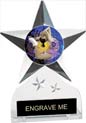 Krystal Clear Acrylic Star Ice Award w/ Insert