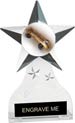 Krystal Clear Acrylic Star Ice Award w/ Insert