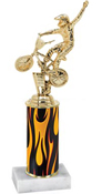 10 inch Interchangeable Column Trophy