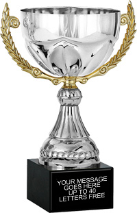Silver Metal Cup with Gold Wreath Handles