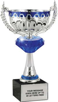 Silver Metal Cup with Sapphire Blue Diamond