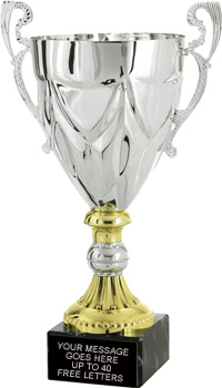 Gold & Silver Open Top Metal Cup on Genuine Marble