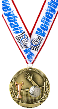Volleyball Tri-Tone Medal [2 inch]