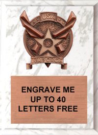 Air Force Bronze Resin Plaque