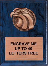  Eagle Bronze Resin Plaque [7 x 9 inch]