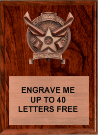Air Force Bronze Resin Plaque