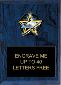 Swimming Color Star Plaque [7 x 9 inch]