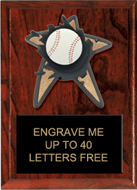 Baseball Spring Loaded Plaque [6 x 8]