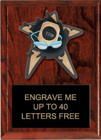 Swimming Spring Loaded Plaque [6 x 8]