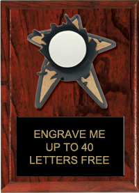 Volleyball Spring Loaded Plaque [6 x 8]
