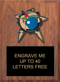 Resin Star Insert Plaque