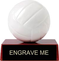 Volleyball Heritage Wood & Resin Trophy [3 inch]