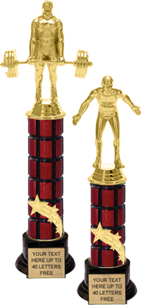 Shooting Star Riser Mahogany Column Trophy [12 inch]