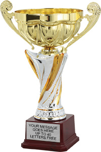 Vortex Trophy Cup