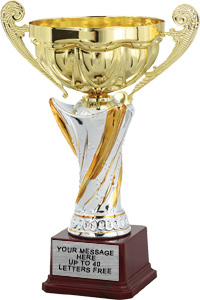 Vortex Trophy Cup