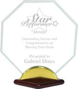 Acrylic Octagon Desktop Award [8 x 8.5 inch] large