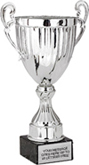 Victory Silver Metal Cup