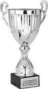 Victory Silver Metal Cup