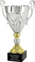 Gold & Silver Open Top Metal Cup on Genuine Marble