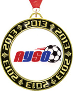 2013 Torch Insert Medals