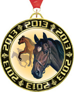 2013 Torch Insert Medals