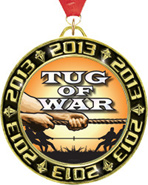 2013 Torch Insert Medals