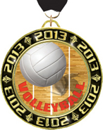 2013 Torch Insert Medals