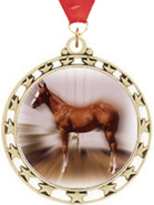 Cut Out Stars Insert Medals [2.5 inch]
