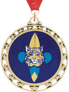 Cut Out Stars Insert Medals [2.5 inch]