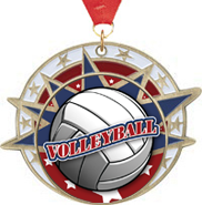 Volleyball USA Insert Medals