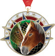 USA Insert Medals [2.5 inch]