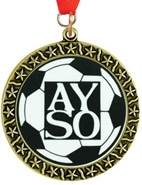 Star Insert Medals