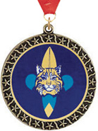 Star Insert Medals