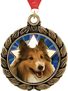 Insert Wreath Medals