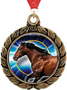 Insert Wreath Medals