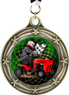 Star Insert Medals [3 inch]