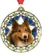 Cut Out Stars Insert Medals