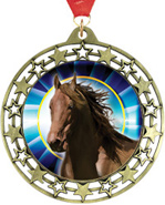 Cut Out Stars Insert Medals