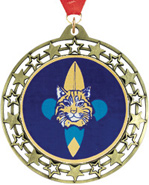 Cut Out Stars Insert Medals