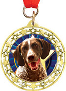 Cut Out Star Insert Medals