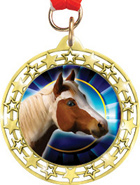 Cut Out Star Insert Medals