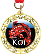 Cut Out Star Insert Medals