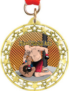 Cut Out Star Insert Medals