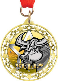 Cut Out Star Insert Medals