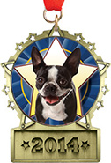 Front Facing Plate Star Insert Medal