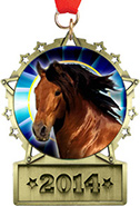 Front Facing Plate Star Insert Medal