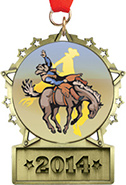 Front Facing Plate Star Insert Medal