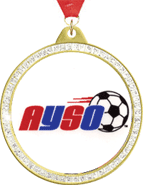 Sparkle Insert Medals