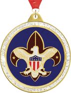 Sparkle Insert Medals